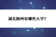 湖北隨州有哪些大學(xué)？