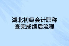 湖北初級(jí)會(huì)計(jì)職稱(chēng)查完成績(jī)后流程