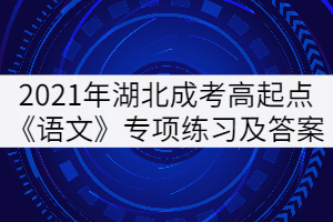 2021年湖北成考高起點《語文》專項練習(xí)及答案：現(xiàn)代文(文學(xué)類)閱讀