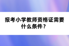 報考小學(xué)教師資格證需要什么條件？