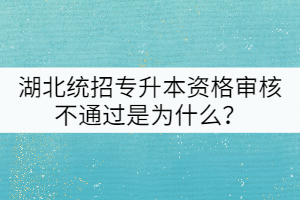 湖北統(tǒng)招專升本資格審核不通過是為什么？