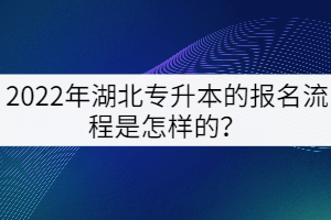 2022年湖北專升本的報名流程是怎樣的？