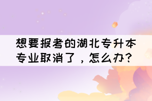 想要報考的湖北專升本專業(yè)取消了，怎么辦？