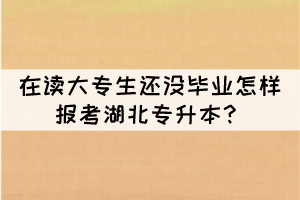 在讀大專生還沒畢業(yè)怎樣報考湖北專升本？