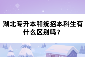 湖北專升本和統(tǒng)招本科生有什么區(qū)別嗎？