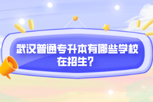 武漢普通專升本有哪些學(xué)校在招生？