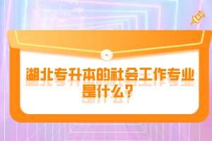 湖北專升本的社會工作專業(yè)是什么？