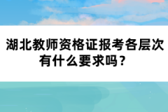 湖北教師資格證報考各層次有什么要求嗎？