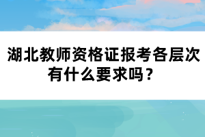 湖北教師資格證報考各層次有什么要求嗎？