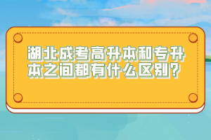 湖北成考高升本和專升本之間都有什么區(qū)別？