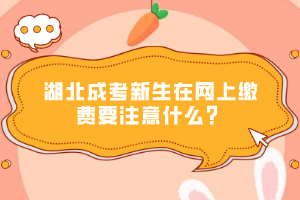 湖北成考新生在網(wǎng)上繳費要注意什么？