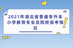 2021年湖北省普通專升本小學(xué)教育專業(yè)及院校報(bào)考情況