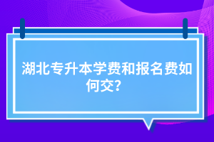 湖北專升本學費和報名費如何交？