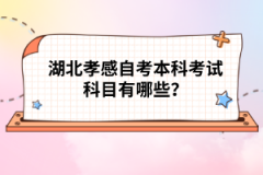 湖北孝感自考本科考試科目有哪些？