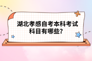 湖北孝感自考本科考試科目有哪些？