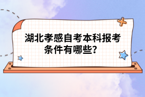 湖北孝感自考本科報(bào)考條件有哪些？