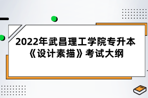 2022年武昌理工學(xué)院專升本《設(shè)計(jì)素描》考試大綱