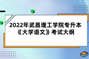 2022年武昌理工學(xué)院專升本《大學(xué)語文》考試大綱