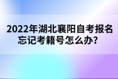 2022年湖北襄陽自考報(bào)名忘記考籍號(hào)怎么辦？