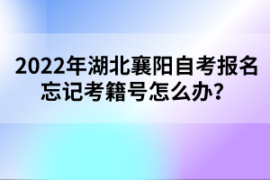 2022年湖北襄陽自考報(bào)名忘記考籍號怎么辦？