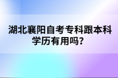 湖北襄陽自考?？聘究茖W(xué)歷有用嗎？