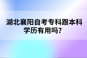 湖北襄陽(yáng)自考?？聘究茖W(xué)歷有用嗎？