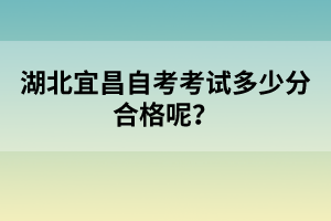 湖北宜昌自考考試多少分合格呢？