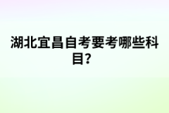 湖北學(xué)位英語(yǔ)考試題型有哪些？