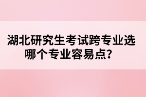 湖北研究生考試跨專業(yè)選哪個專業(yè)容易點？