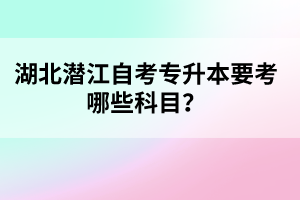 湖北潛江自考專升本要考哪些科目？