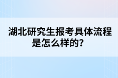 湖北研究生報(bào)考具體流程是怎么樣的？