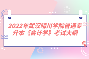 2022年武漢晴川學(xué)院普通專升本《會計(jì)學(xué)》考試大綱