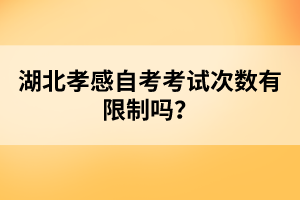 湖北孝感自考考試次數(shù)有限制嗎？