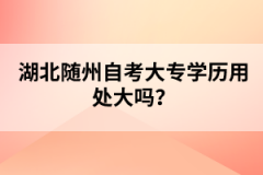 湖北隨州自考大專學(xué)歷用處大嗎？