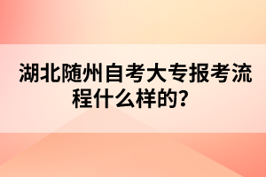 湖北隨州自考大專報考流程什么樣的？