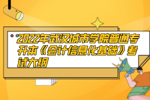 2022年武漢城市學(xué)院普通專升本《會(huì)計(jì)信息化基礎(chǔ)》考試大綱