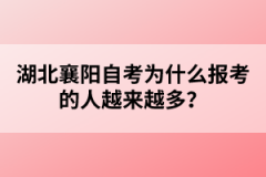 湖北襄陽自考為什么報考的人越來越多？