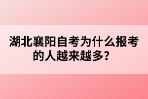 湖北襄陽自考為什么報考的人越來越多？