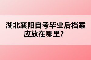 湖北襄陽(yáng)自考畢業(yè)后檔案應(yīng)放在哪里？