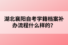 湖北襄陽自考學籍檔案補辦流程什么樣的？