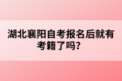 湖北襄陽自考報名后就有考籍了嗎？