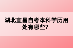 湖北宜昌自考本科學歷用處有哪些？