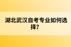 湖北武漢自考專業(yè)如何選擇？