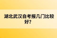 湖北武漢自考報幾門比較好？