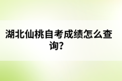 湖北仙桃自考成績(jī)?cè)趺床樵?xún)？