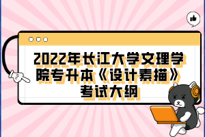 2022年長江大學文理學院專升本《設計素描》考試大綱