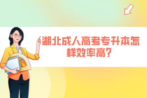 湖北成人高考專升本怎樣效率高？