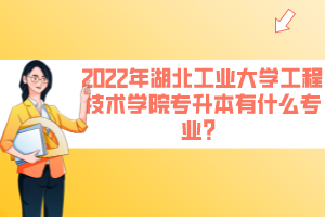 2022年湖北工業(yè)大學工程技術學院專升本有什么專業(yè)？