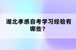 湖北孝感自考學(xué)習(xí)經(jīng)驗(yàn)有哪些？