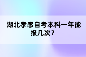 湖北孝感自考本科一年能報幾次？